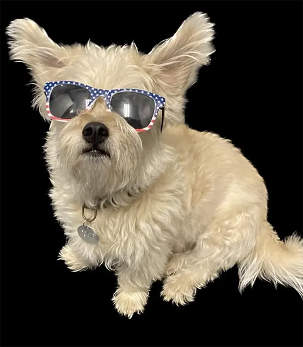 &lsquo;Fritz wearing a sunglass&rsquo;